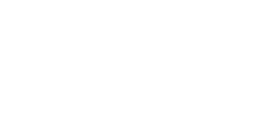 Fondazione Festa dei Gigli